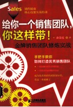 给你一个销售团队,你这样带! 金牌销售团队修炼实战