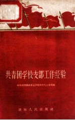 共青团学校支部工作经验