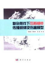复杂条件下瓦斯爆炸传播规律及伤害模型