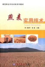 燕麦实用技术