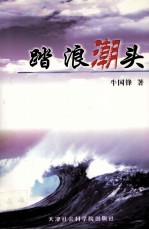 踏浪潮头
