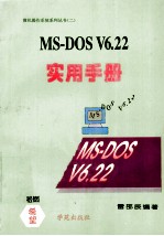 MS-DOS V6.22实用手册
