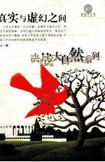 新起点丛书 真实与虚幻之间