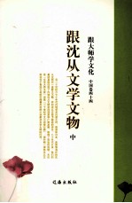 跟大师学文化 中国卷 44 跟沈从文学文物 中
