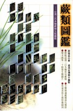 蕨类图鉴 台湾三百多种蕨类生态图鉴