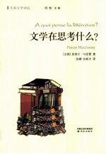 文学在思考什么?