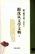 跟大师学文化 中国卷 45 跟沈从文学文物 下