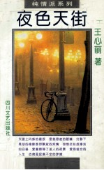 夜色天街