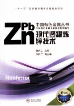 现代竖罐炼锌技术