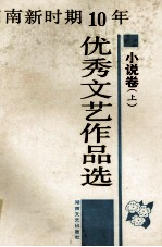 湖南新时期10年优秀文艺作品先 小说卷 上