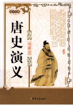 唐史演义 珍藏版