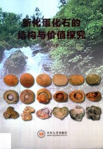 新化蛋化石的结构与价值探究