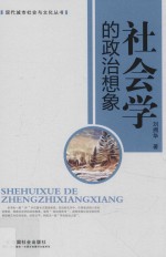 现代城市社会与文化丛书 社会学的政治想象