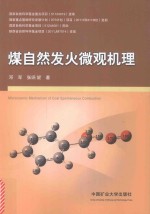 煤自然发火微观机理