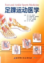足踝运动医学