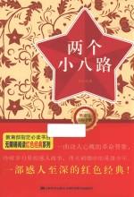 无障碍阅读红色经典系列丛书 两个小八路