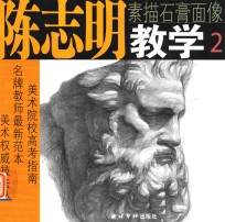 陈志明教学 2 素描石膏面像
