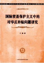 国际贸易保护主义中的对华反补贴问题研究