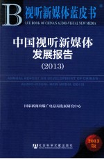 中国视听新媒体发展报告 2013