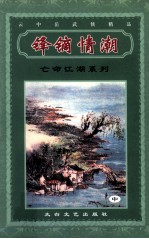 云中岳武侠精品 亡命江湖系列 锋镝情潮 中