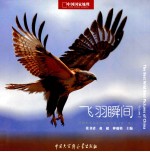 中国野生鸟类精彩图片选 第2卷 飞羽瞬间