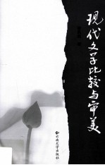 现代文学比较与审美