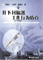 井下封隔器工作行为仿真
