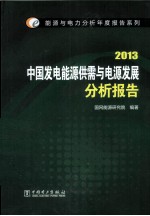 中国发电能源供需与电源发展分析报告 2013