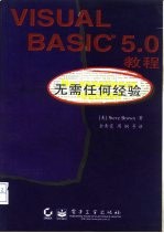 Visual Basic 5.0教程