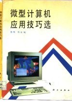 微型计算机应用技巧选