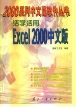 活学活用Excel 2000中文版