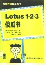Lotus2-3傻瓜书