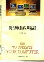 微型电脑应用基础 DOS、汉字输入、WPS、FOXBASE+