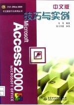 Access 2000中文版技巧与实例