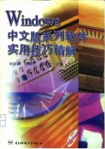 Windows中文版系列软件实用技巧精解