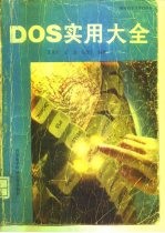DOS实用大全