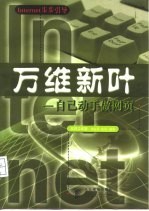 万维新叶 自己动手做网页