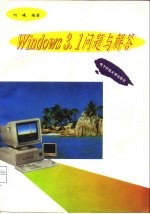 Window3.1问题与解答