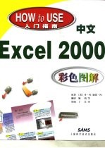 中文Excel 2000彩色图解