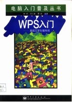 WPS入门 高级文字处理系统