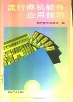 流行微机软件应用技巧