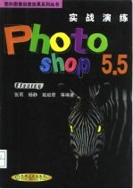 实战演练 Photoshop 5.5