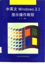 中英文WINDOWS 3.1图示操作教程
