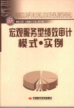 宏观服务型绩效审计模式·实例