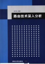 路由技术深入分析