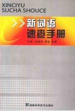 新词语速查手册