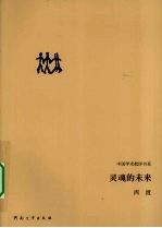 灵魂的未来