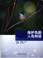 保护鸟类 人鸟和谐