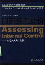 内部控制评价:理论·实务·案例