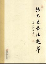 张光东书法选萃